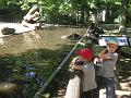 Zoo Cottbus 089